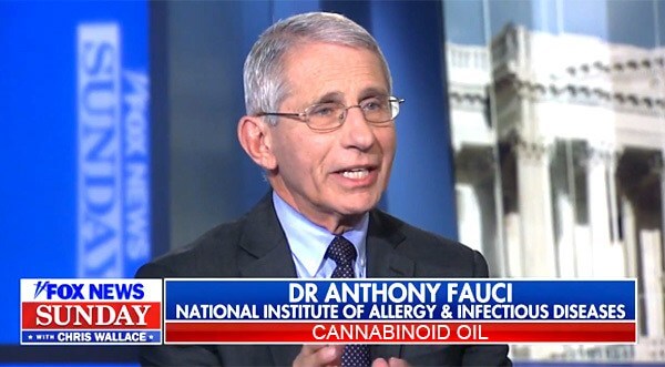 Image result for dr fauci on cbd